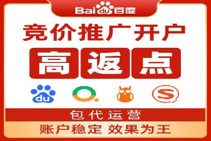 SEM竞价代运营实战技巧与案例